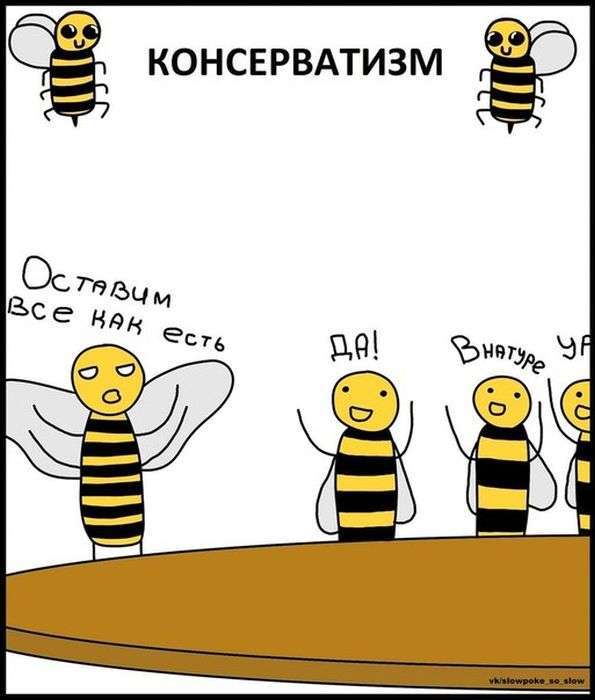 Бджоли знають все про політику (19 фото)