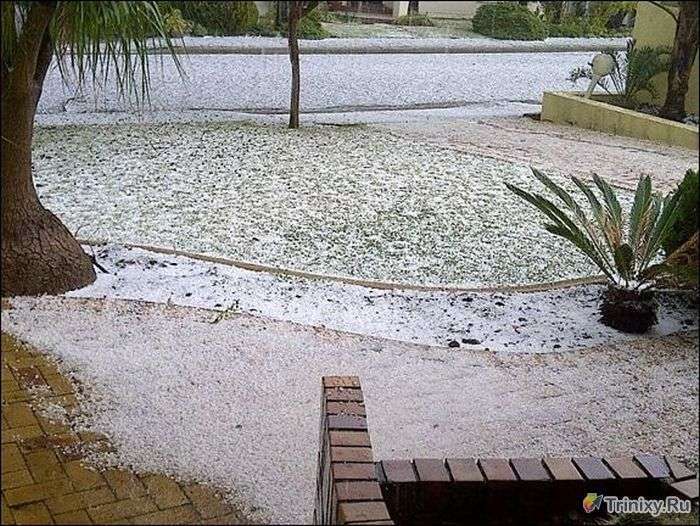 У Південно-Африканському місті Кейптаун випав сніг (11 фото)