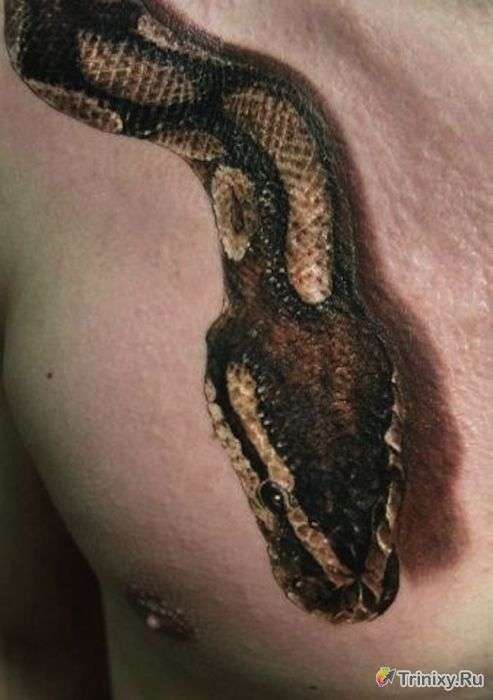 Неймовірно реалістичні татуювання (31 фото)