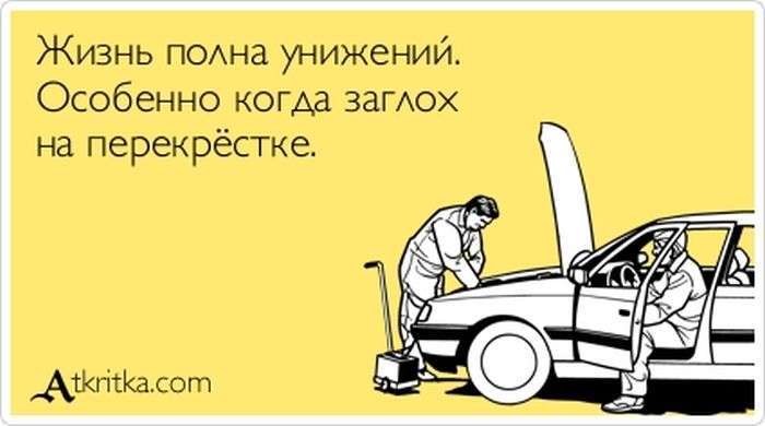 Прикольні аткрытки. Частина 64 (63 картинок)