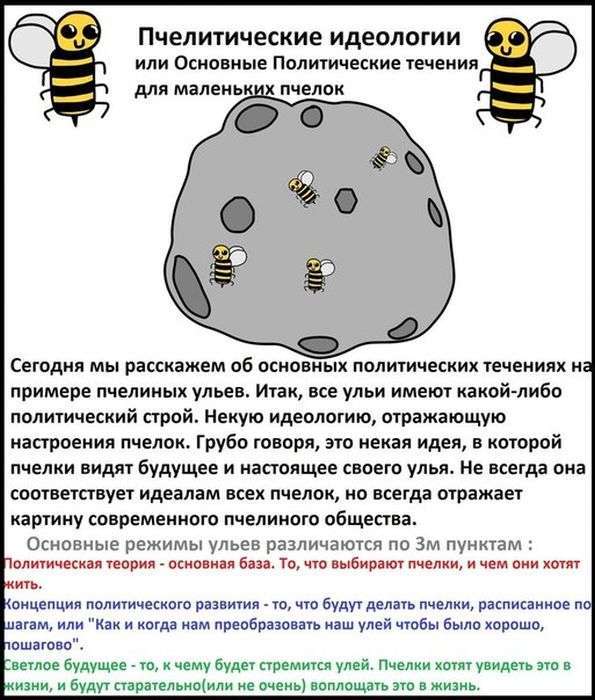 Бджоли знають все про політику (19 фото)