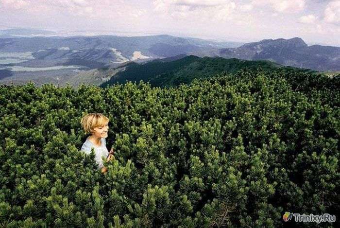 Круті фотоиллюзии, які вийшли випадково. Частина 8 (33 фото)