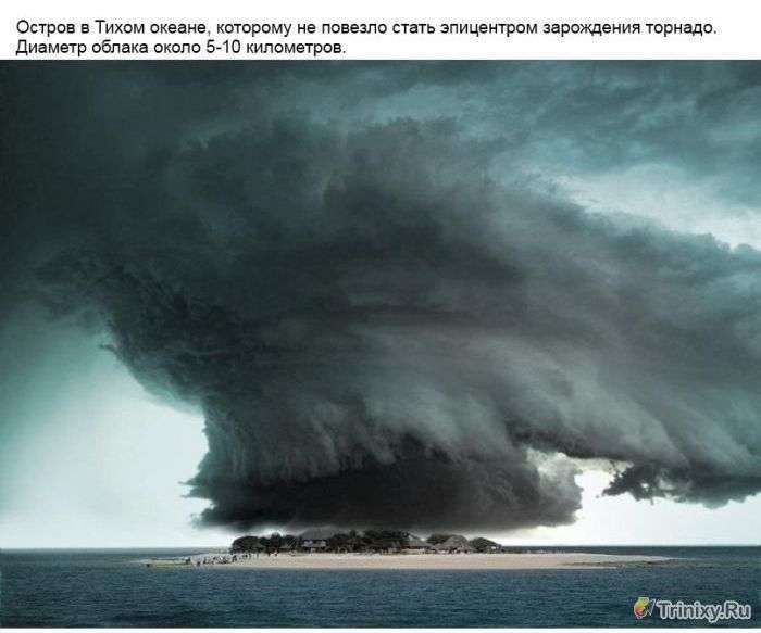 Дивовижна сила природи (14 фото)