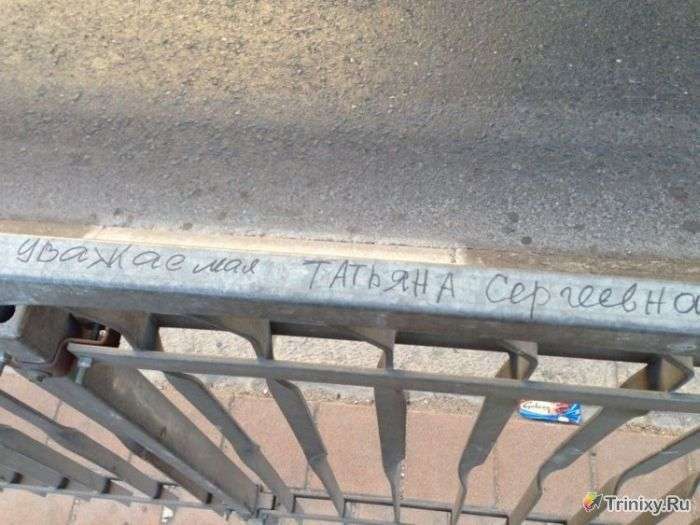 Поскаржився тещі (3 фото)