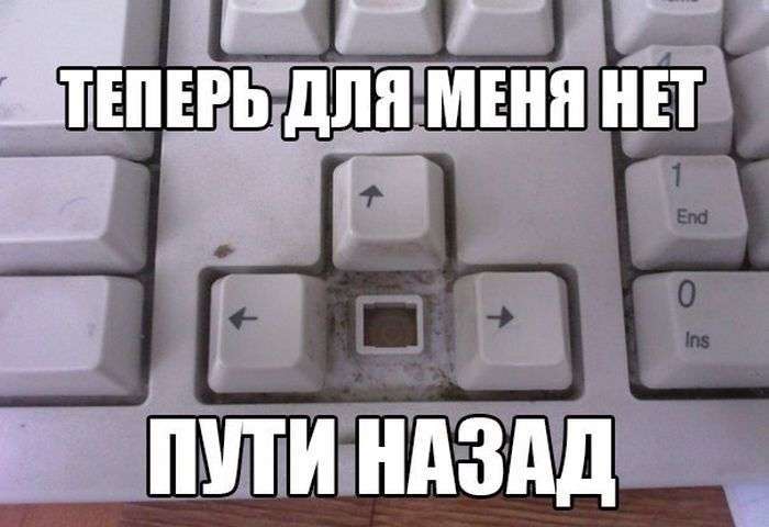 Прикольні картинки (109 фото)