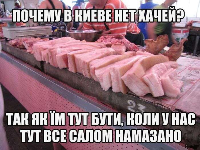 Прикольні картинки (109 фото)