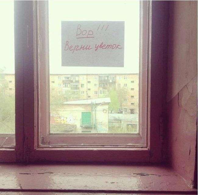 Ультиматум вору (2 фото)