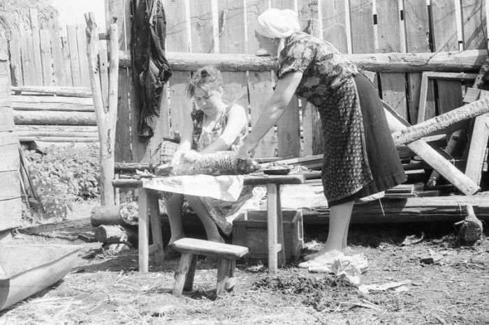 Сільське весілля 1964 року в Рязанській області (56 фото)