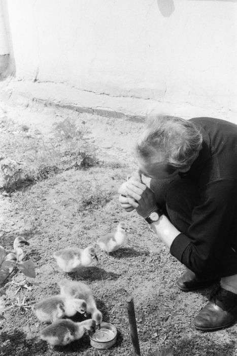 Сільське весілля 1964 року в Рязанській області (56 фото)