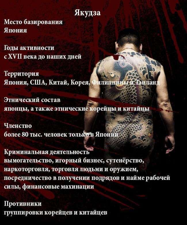 Цікаво про банду Якудза (11 картинок)
