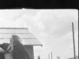 Лебедина пісня «затичок»