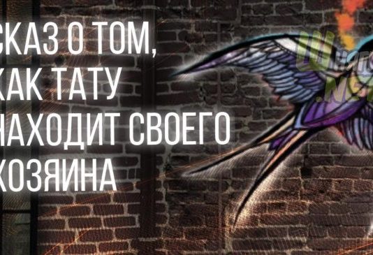 Казка про те, як тату знаходить свого господаря