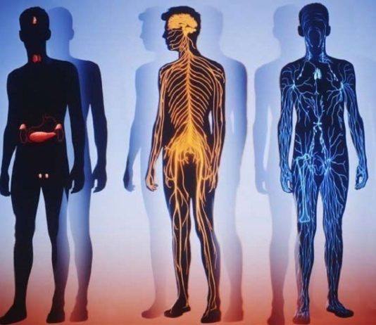 Дівчата з соц. мереж