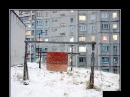 Самі нові демотиватори