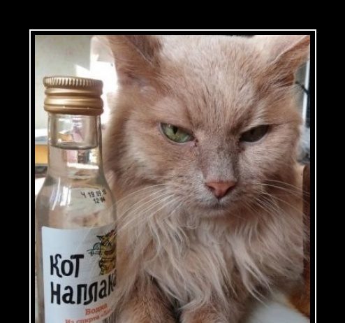 Підбірка веселих вечірніх демотиваторів зі змістом