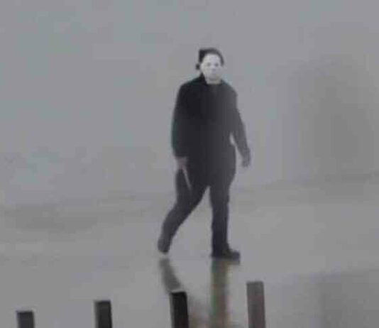 Поліцейські затримали адвоката, що розгулює по пляжу в костюмі маніяка (2 фото + 1 відео)