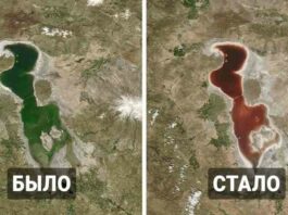 12 порівнянь того, як змінюється наша планета