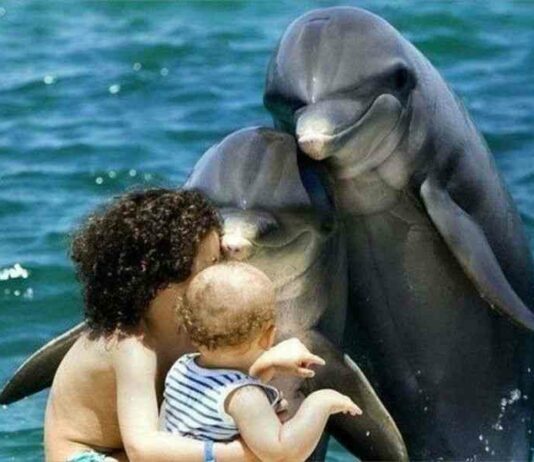 Альберт пірпойнт-останній кат імперії