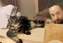 Лінгвіст Стівен Андерсон, розвінчувач міфів про мову тварин, помер у віці 82 років