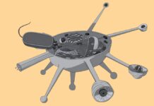 Нещодавно відкритий мікроорганізм повертається до ранньої еволюції еукаріот