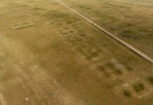 Бронзовий вік переписує історію степів у Казахстані