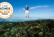 Paramount Plus: Чорна п’ятниця – знижка 77% протягом двох місяців