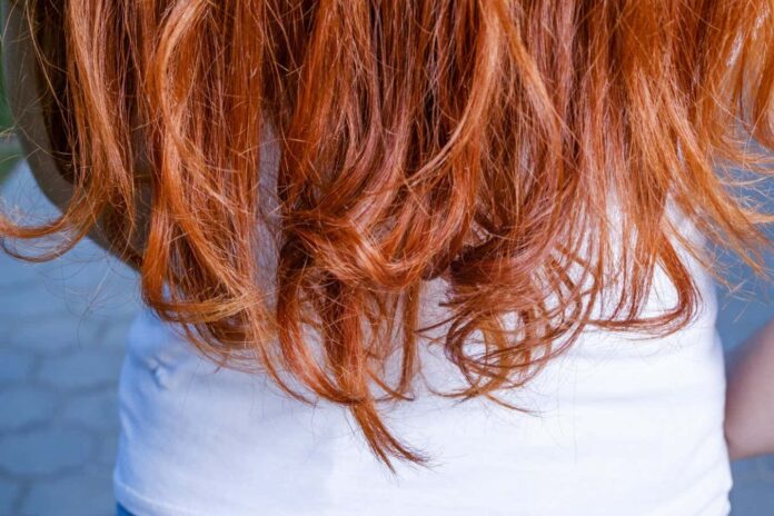 b1f4d4b3-4301-4d91-985f-f6eacb470de2