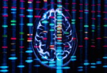 Психічні розлади мають спільне генетичне коріння: Нове дослідження розкриває п’ять ключових груп, що збігаються