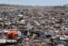 Криза незаконного сміття: приховані звалища мучать англійську сільську місцевість