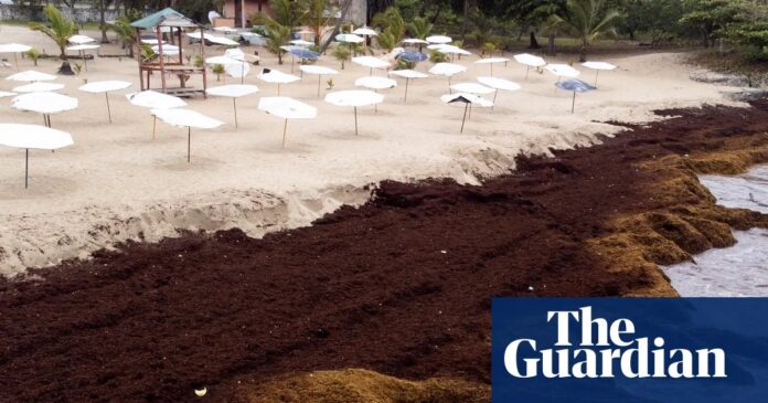 2df1f92d-c633-446c-88c0-6ed0dc7b0650