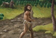 Стародавній геном розкриває складну історію Денисова