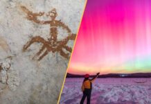 Прориви та таємниці: тиждень у науці