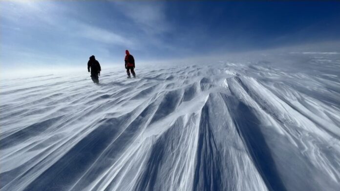 e63998a0-3d14-4755-b573-ab1bed89f807