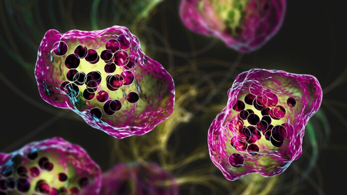 f5a3318a-f663-4c7c-9113-903a93391bbd