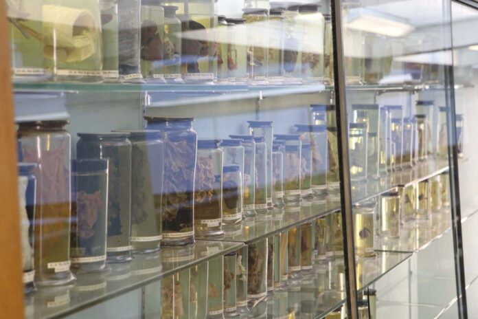 3138c1d6-cb83-4909-840c-09546708d56e