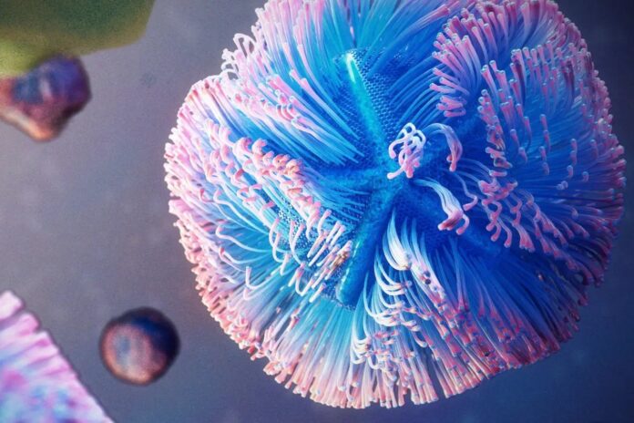 f423c4eb-6b56-427f-bb5a-bd42a22b9109