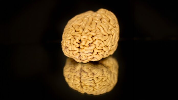 5bf0fce2-7e8f-4aab-aea3-7025136e88c6