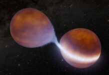 Вчені знайшли 2 «зірки-невдахи», які можуть мати другий шанс засяяти яскраво — об’єднавшись