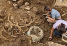 Koninklijke begrafenis uit de ijzertijd opgegraven in Engeland: bewijs van een Keltische koningin?