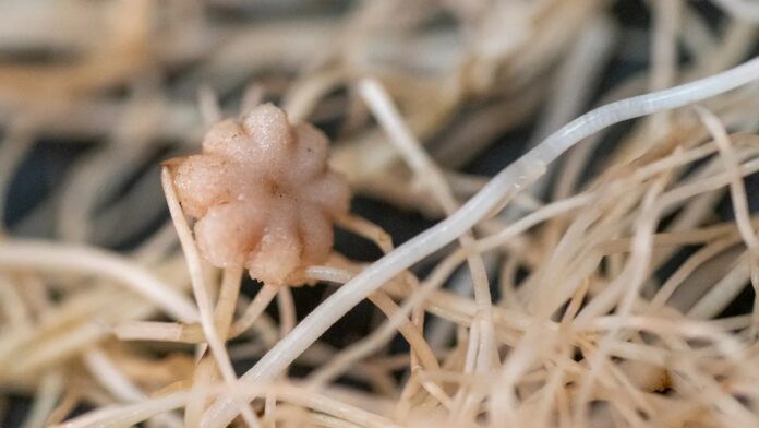 d8a88851-5c1c-46ba-885e-d7b15df38141