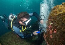 Senapan Udara: Senjata Baru dalam Melawan Karang Invasif