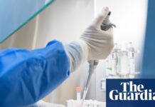 Пептидний бум: зсередини ризикованого тіньового ринку нерегульованих ін’єкцій