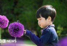 London Akan Meluncurkan “Koridor Alam” Sepanjang 14 Mil untuk Memerangi Panas Perkotaan dan Hilangnya Keanekaragaman Hayati