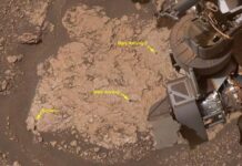 Le rover Curiosity de la NASA découvre une collection record de molécules organiques sur Mars