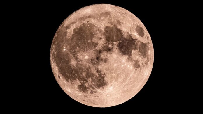 5c94688a-1a54-49e1-919f-cf1fd9370477