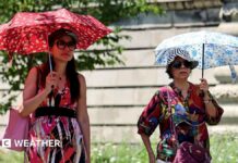 Спека розжарює країну: градуси зашкалюють 🌡️
