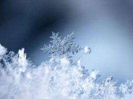 Limites des prévisions de neige : 15 jours, pourquoi on ne peut pas faire confiance aux applications météo